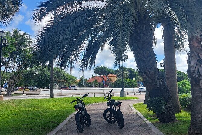 Oranjestad Culture Heritage and Coastal Electric Bike Experience - Final Thoughts