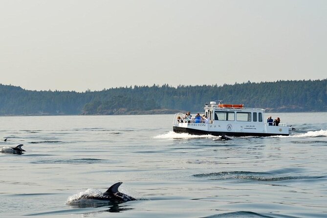 Orcas Island Whale Watching - Crew and Guides