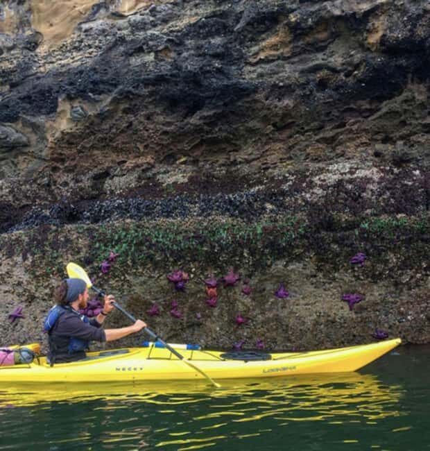 Orcas Island: Wildlife Spotting Kayak Tour - Orcas Island: Wildlife Spotting Kayak Tour