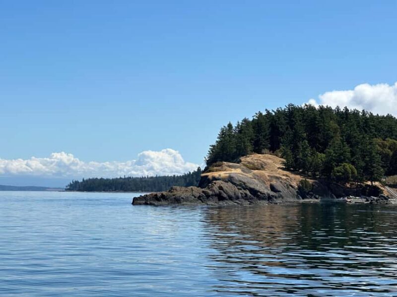 Orcas Island: Wildlife Spotting Kayak Tour - The Itinerary: Step-by-Step
