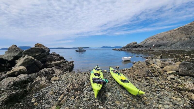 Orcas Island: Wildlife Spotting Kayak Tour - FAQ