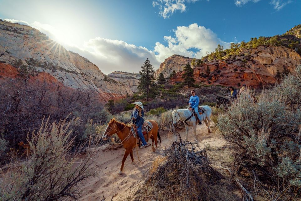 Orderville: East Zion Park White Mountain Horseback Tour - Recap