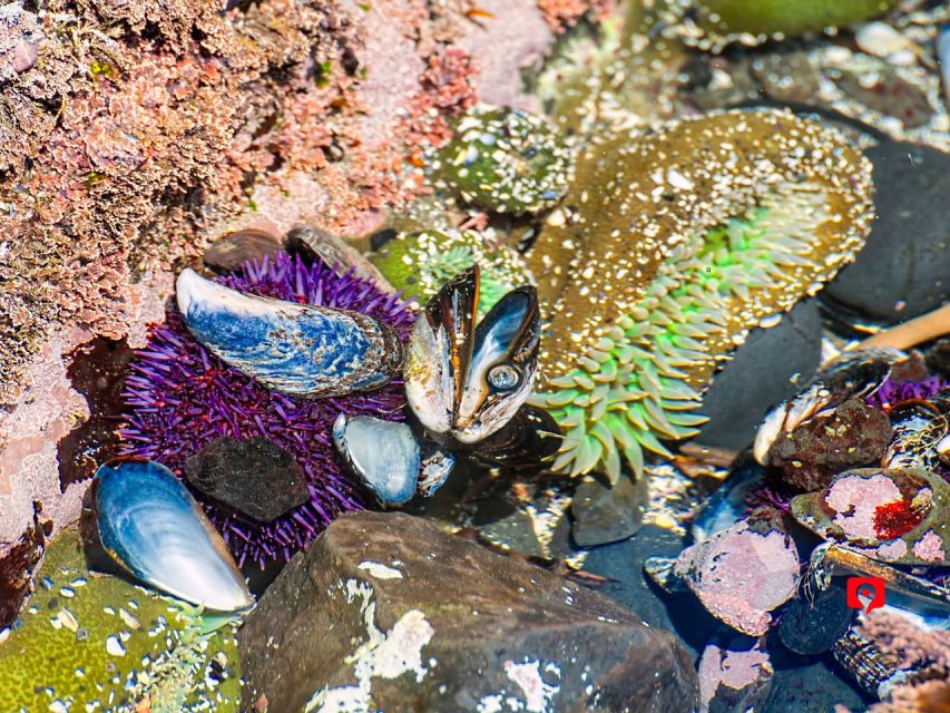 Oregon Coast: Driving Tour - Key Points