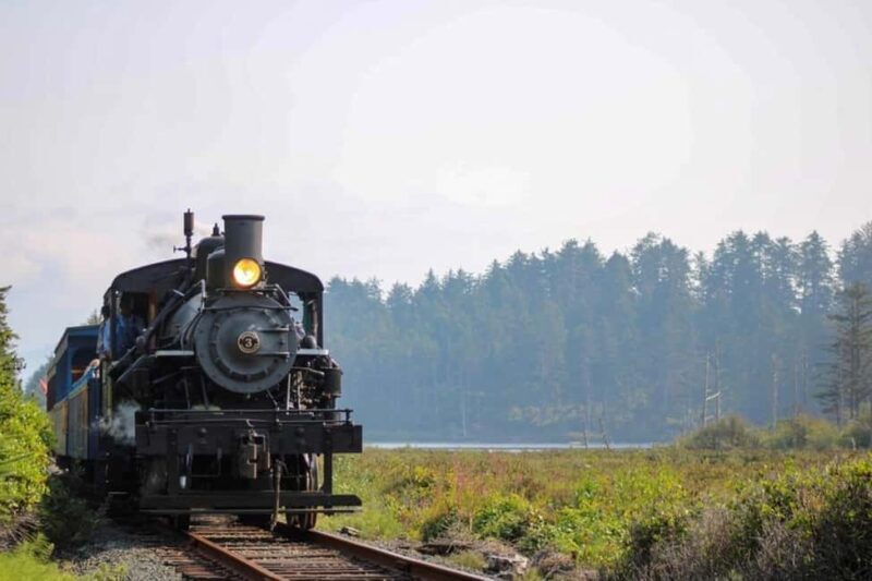Oregon Coast: Scenic Railroad Excursion Along Coastline - Key Points