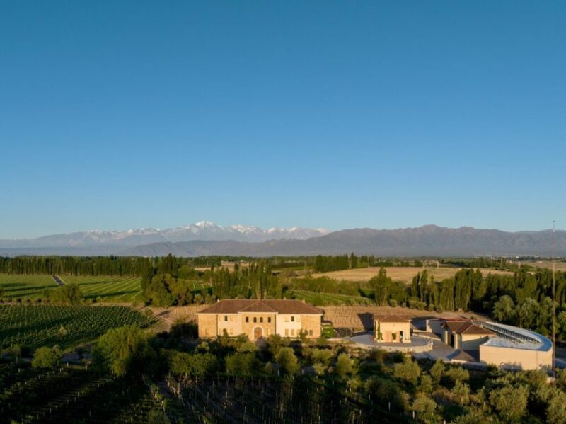 Organic, Biodynamic, and Experimental Adventure in Mendoza - Winery Features
