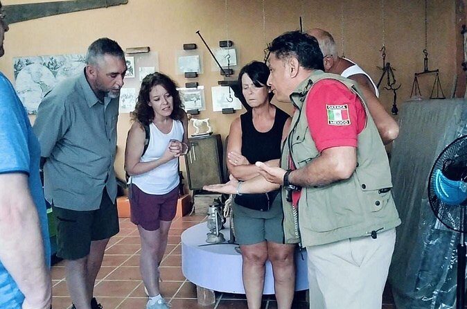 Organic Coffee Tour in the Sierra de Pluma Hidalgo - Authenticity and Value for Money