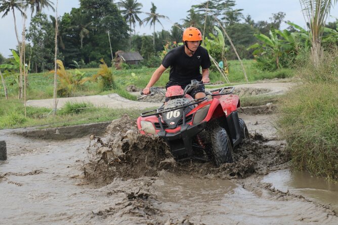 Organic Farm Cooking Class in Ubud With Bali Swing - Cooking Class Details