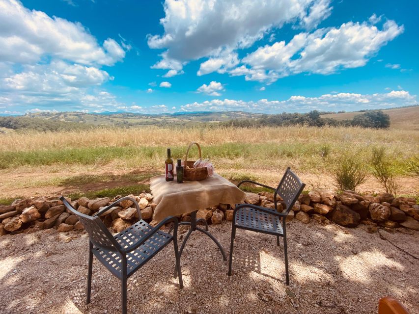 Organic Farm Picnic in Maremma Tuscany - Picnic Location Details