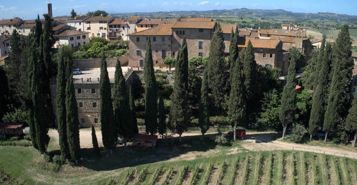 Organic Wine and Food Tasting at Fattoria Majnoni - Wine Tasting Details