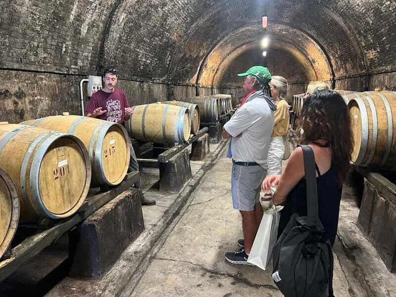 Organic Wine and Food Tasting at Historic Fattoria Majnoni - An Authentic Slice of Tuscany in Just Two Hours