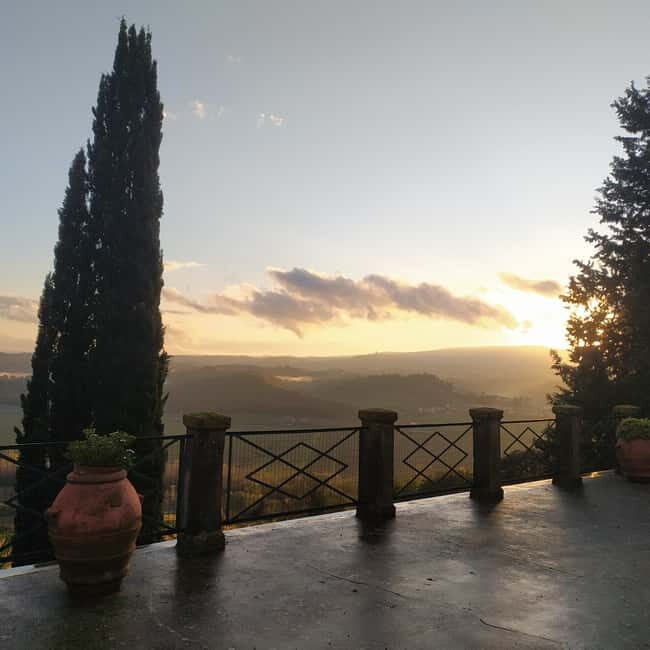Organic Wine and Food Tasting at Historic Fattoria Majnoni - The Sum Up