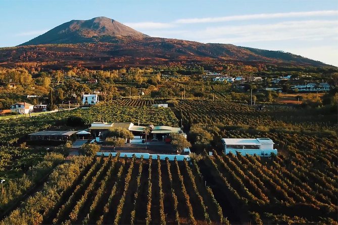 Organic Wine Tasting & Lunch on Vesuvius With Transfer From Sorrento Peninsula - Good To Know