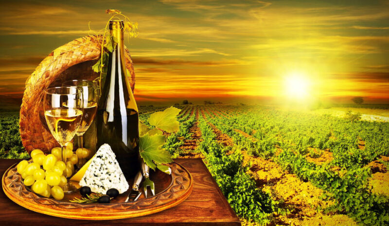 Organic Wine Tasting With Saint Paul Half Day Tour From Nice - Inclusions