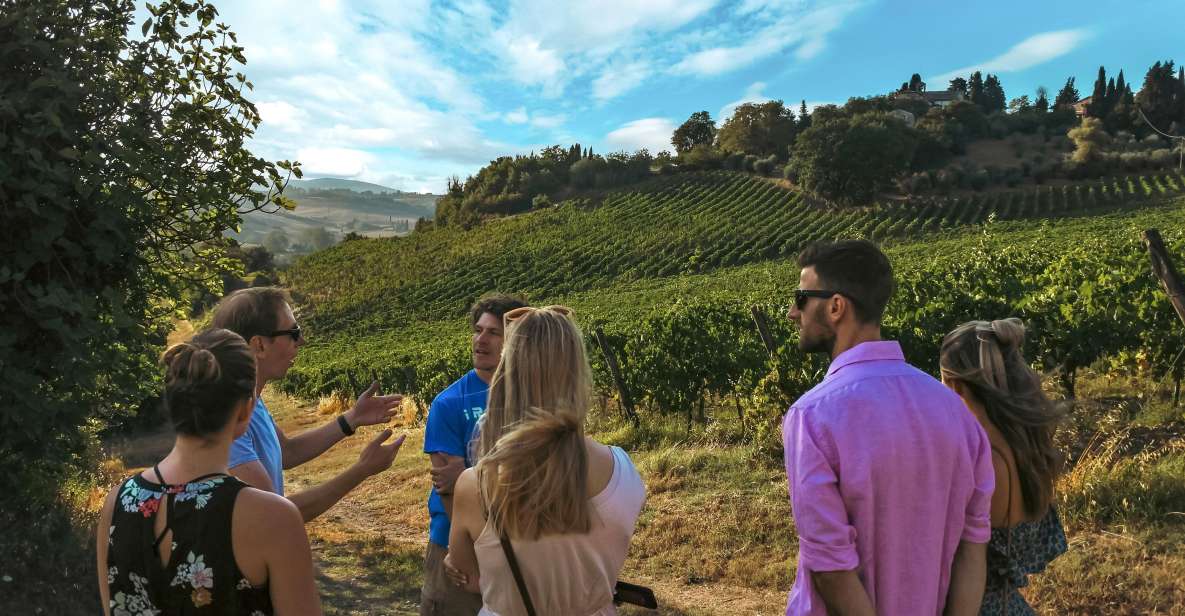 Organic Winery Tour and Wine Tasting in Siena - Key Points