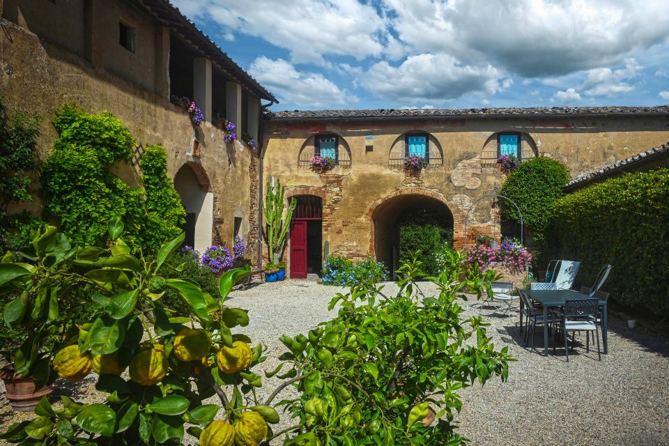 Organic Winery Tour and Wine Tasting in Siena - Experience Highlights