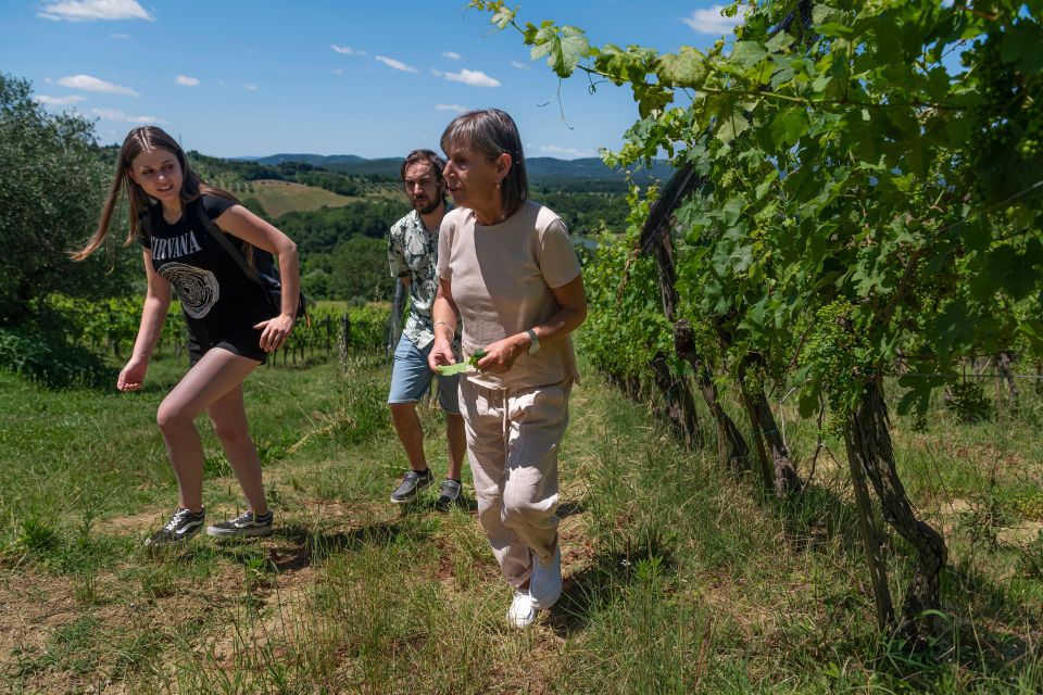 Organic Winery Tour and Wine Tasting in Siena - Culinary Experience