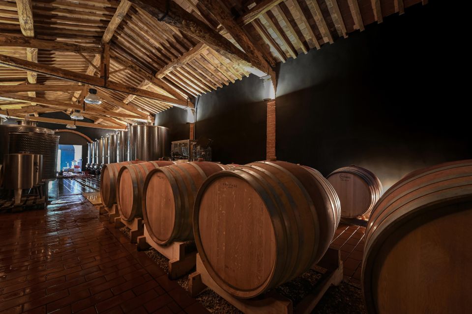 Organic Winery Tour and Wine Tasting in Siena - Customer Reviews