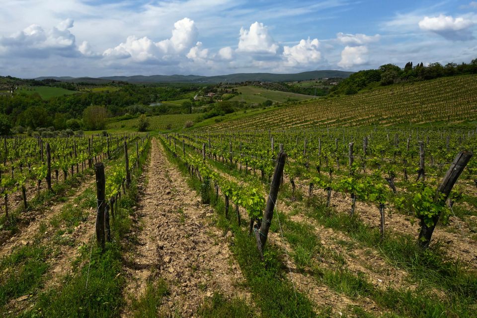 Organic Winery Tour and Wine Tasting in Siena - Booking Information