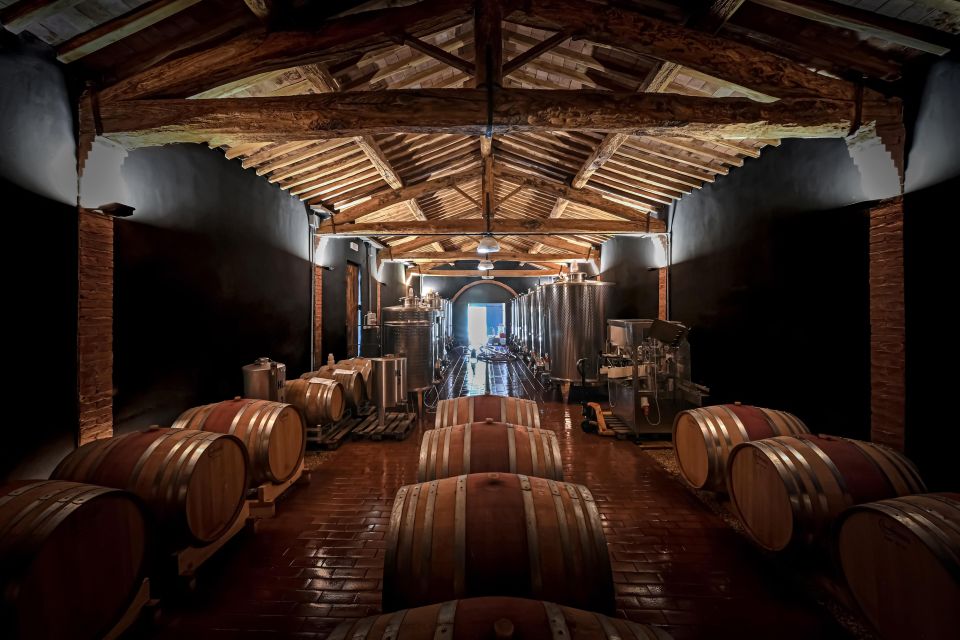 Organic Winery Tour and Wine Tasting in Siena - What to Expect