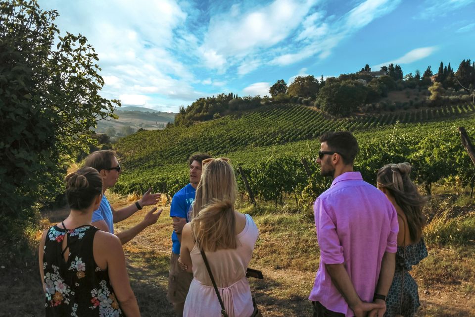 Organic Winery Tour and Wine Tasting in Siena - Frequently Asked Questions