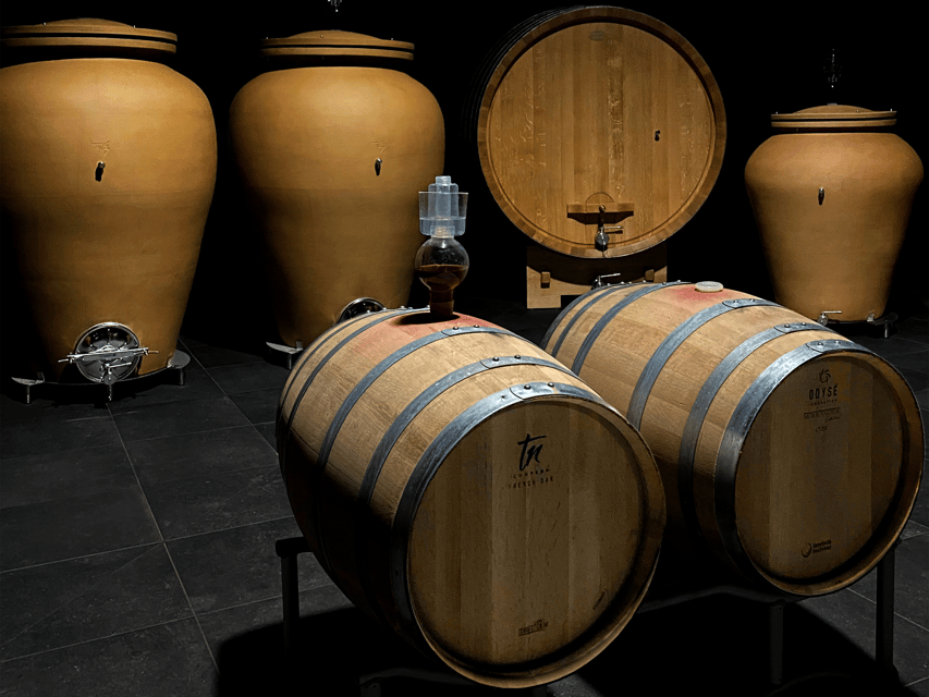 Organic Winery Visit Near Turin With Wine & Food Tasting - Activity Overview