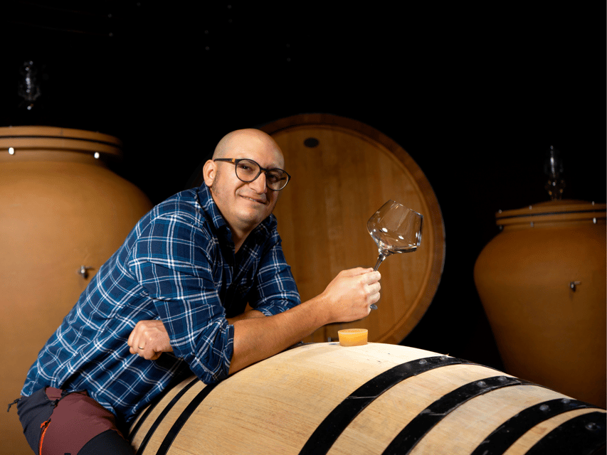 Organic Winery Visit Near Turin With Wine & Food Tasting - Guided Tour Details