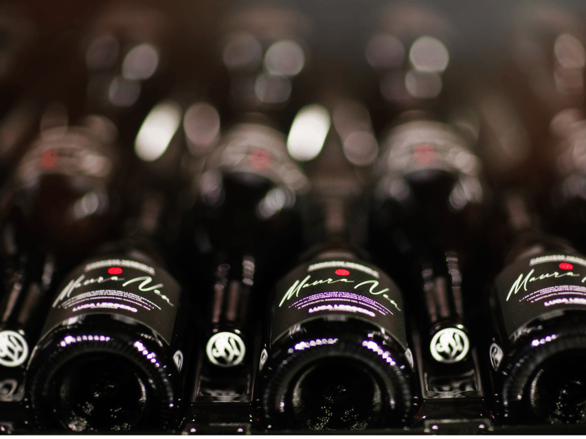 Organic Winery Visit Near Turin With Wine & Food Tasting - Sustainable Practices