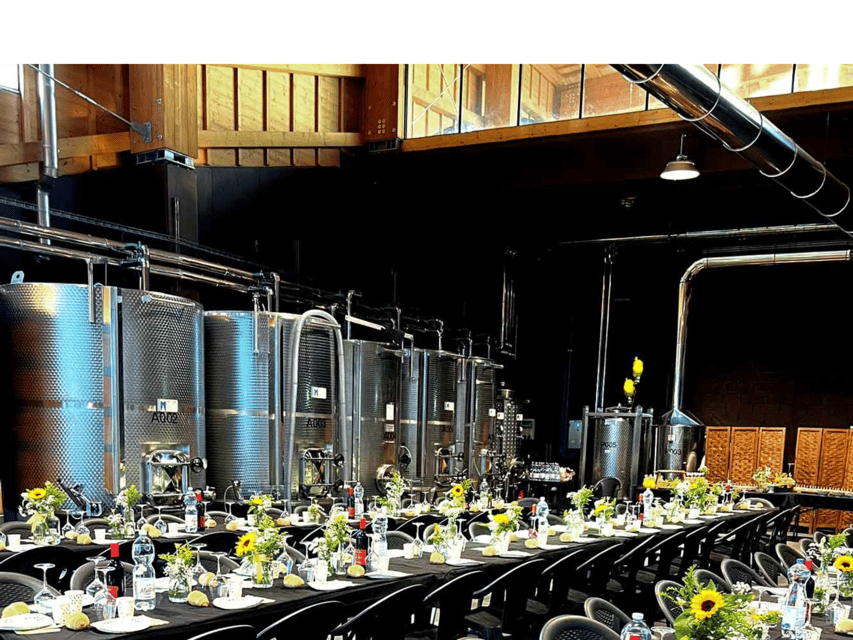 Organic Winery Visit Near Turin With Wine & Food Tasting - Who Is This Experience Best Suited For?