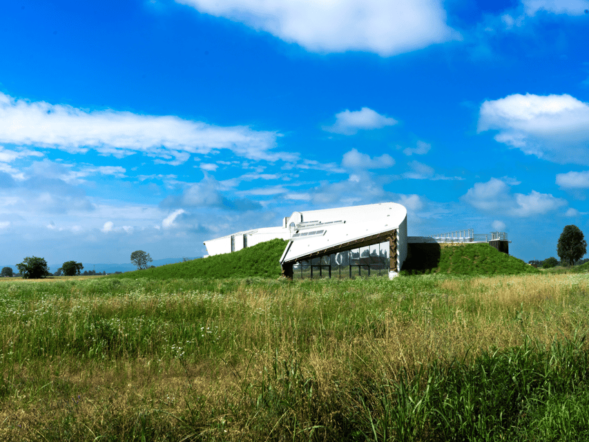 Organic Winery Visit Near Turin With Wine & Food Tasting - Why Choose This Organic Winery Visit?