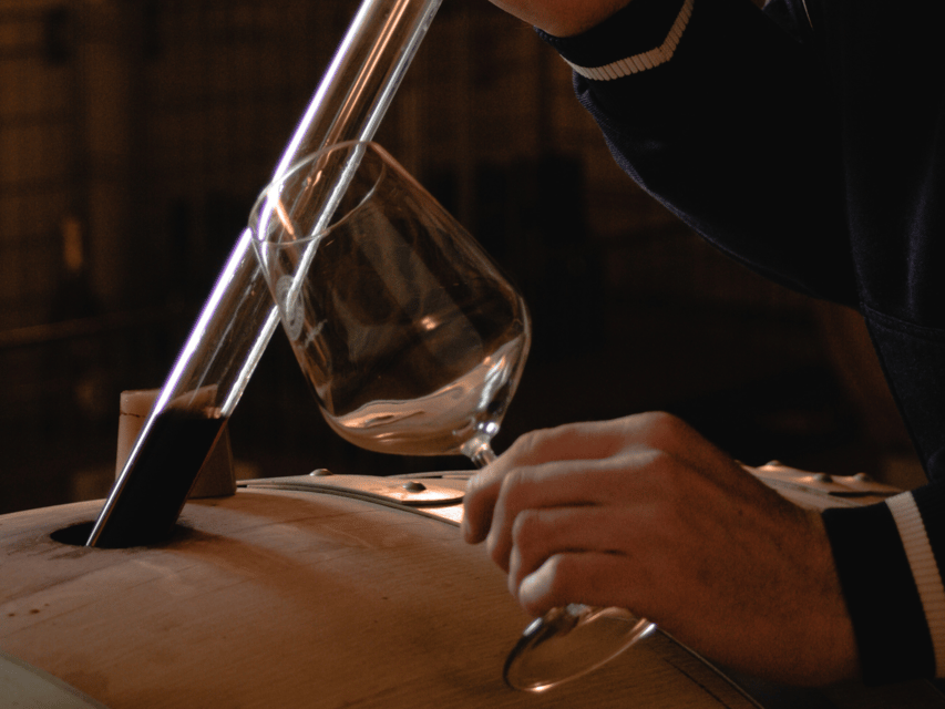 Organic Winery Visit & Wine Tasting With Food in Pavia - Activity Overview