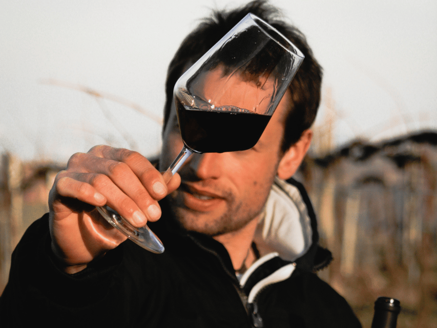 Organic Winery Visit & Wine Tasting With Food in Pavia - Educational Component