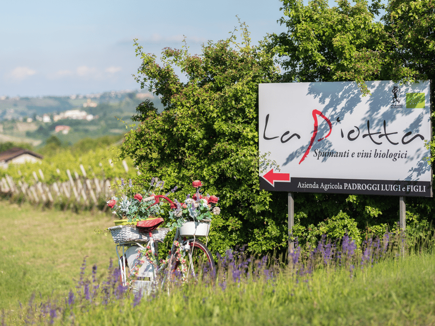 Organic Winery Visit & Wine Tasting With Food in Pavia - Location and Transportation