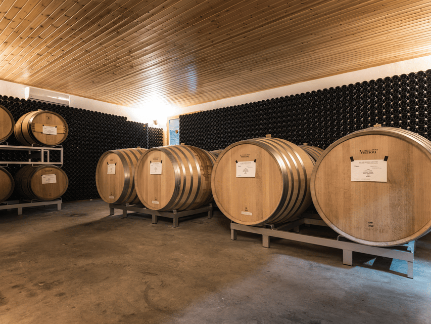 Organic Winery Visit & Wine Tasting With Food in Pavia - Ask Away