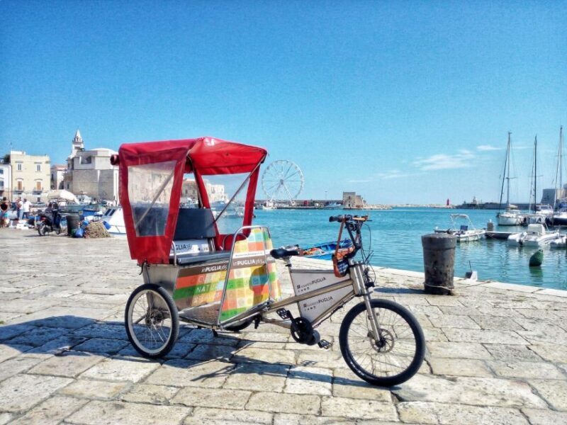 Organized tour from Bari to Castel del Monte - Key Points
