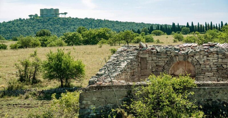 Organized tour from Bari to Castel del Monte - FAQs