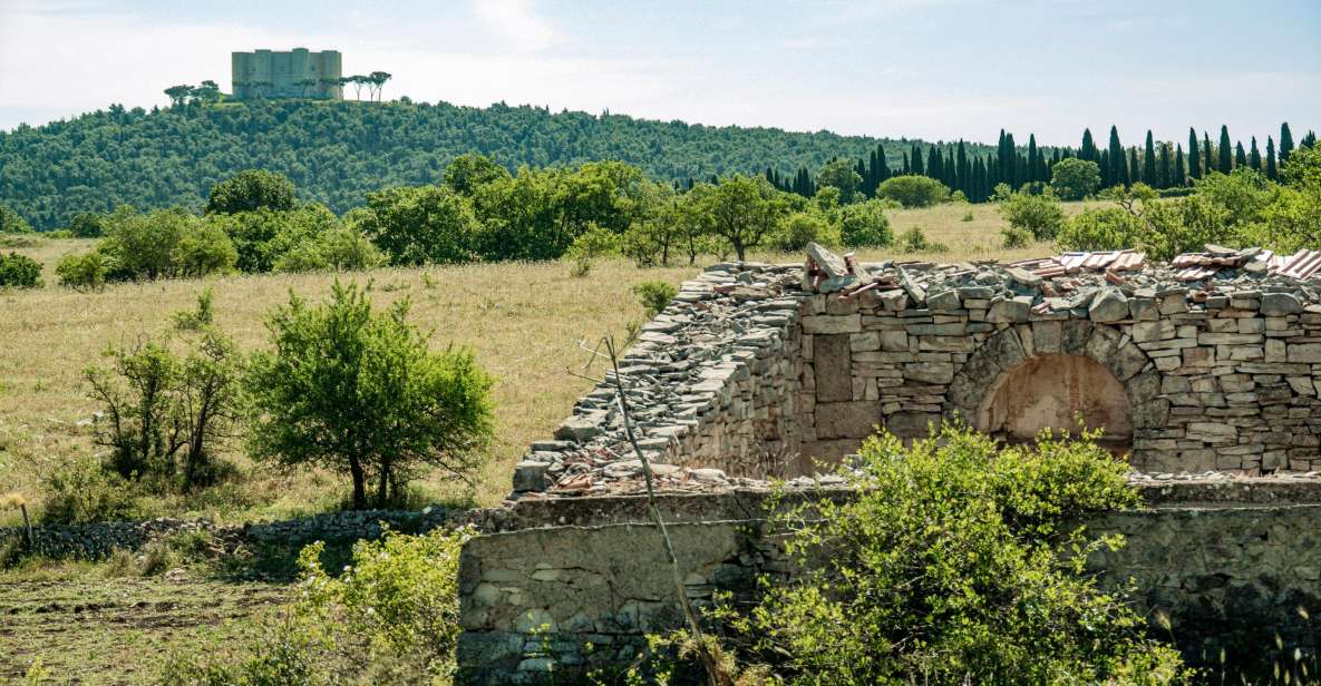 Organized Tour From Bari to Castel Del Monte - Key Points