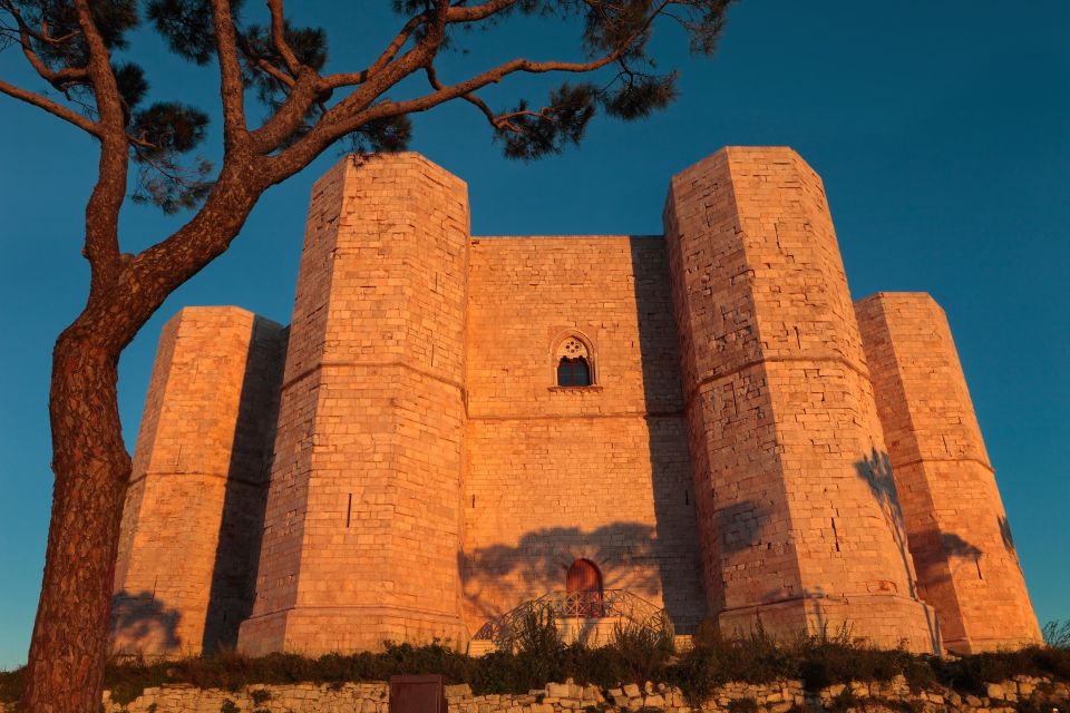 Organized Tour From Bari to Castel Del Monte - Inclusions in the Tour