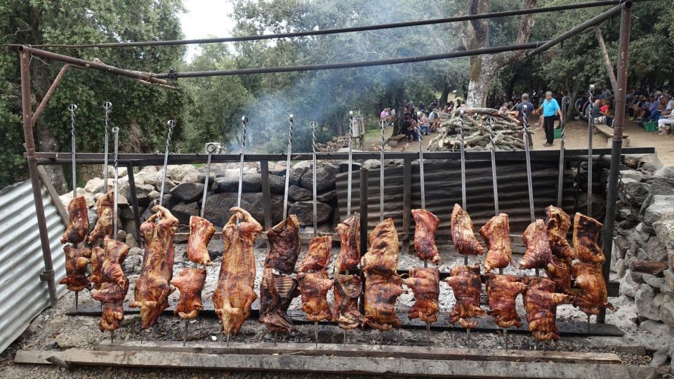 ORGOSOLO: LUNCH WITH THE SHEPHERDS - Shepherds Lunch in the Forest