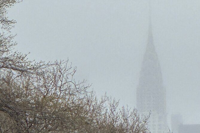 Original Chinatown Dumpling Tour - Value and Pricing