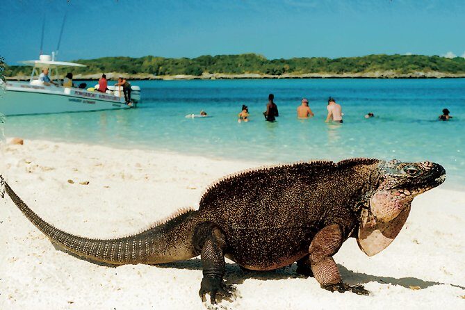 Original Exuma Powerboat Adventures - FAQs