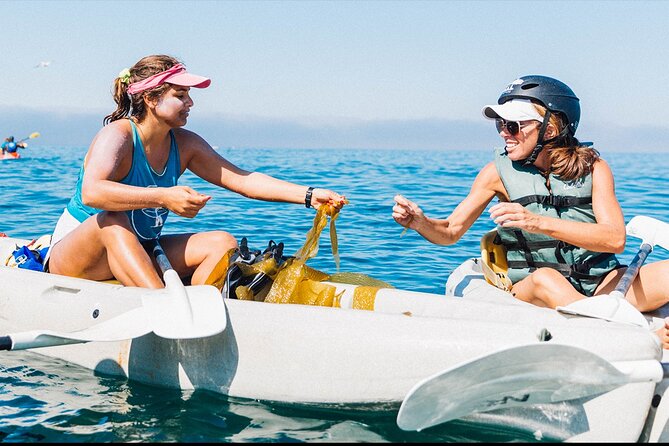 Original La Jolla Sea Cave Kayak Tour for Two - Booking and Cancellation Policy