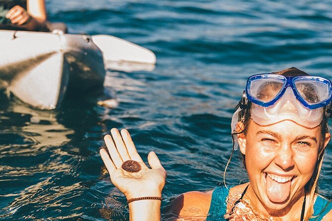 Original La Jolla Sea Cave Kayak Tour for Two - Tips for an Enjoyable Kayak Tour