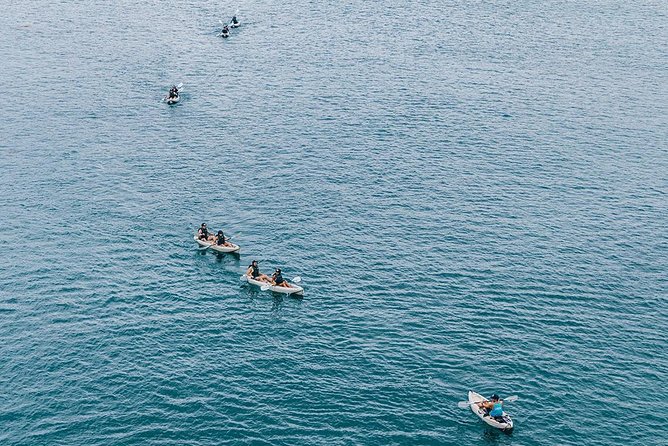 Original La Jolla Sea Cave Kayak Tour for Two - Frequently Asked Questions