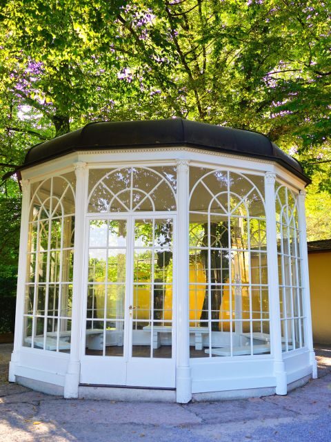 Original Sound of Music Tour & Edelweiss Cooking Class - A Scenic Trip through Film and Flavor