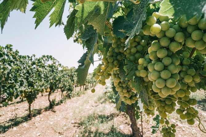 Origins - An In-Depth Look at the Experience