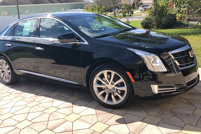 Orlando Airport MCO to Port Canaveral Luxury Sedan - Vehicle and Amenities
