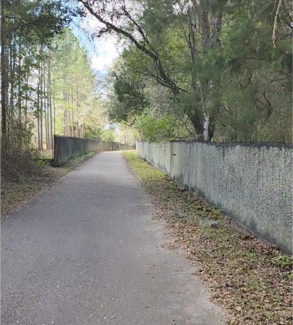 Orlando: Beautiful Lake Minneola Bike Tour - Key Points