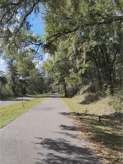 Orlando: Beautiful Lake Minneola Bike Tour - Guided Trail Route