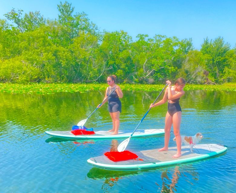 Orlando: Clear Kayak and Paddleboard 2-Hour Rental - Meeting Point and Directions