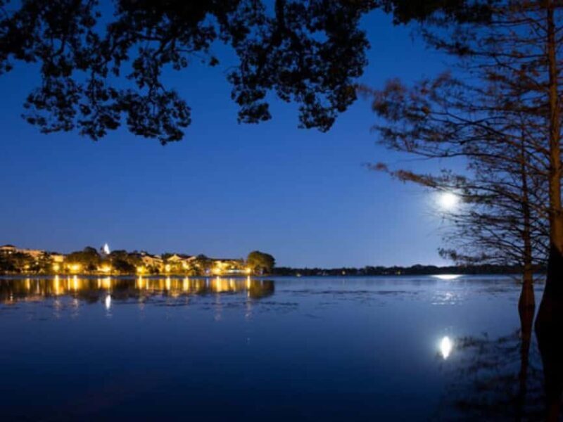 Orlando: Guided Ghost Tour - Who Should Consider This Tour?